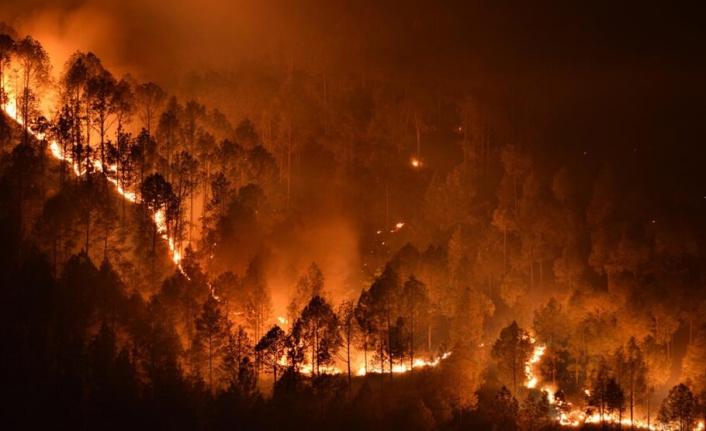İspanya ve Almanya Orman Yangınları ile Mücadele Ediyor