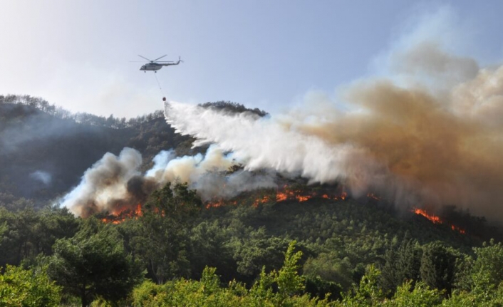 Orman Yangınları için Kırmızı Alarm