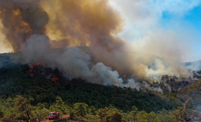 AFAD'dan orman yangını uyarısı: Şiddetli rüzgar olacak, ormanda kesinlikle ateş yakmayın