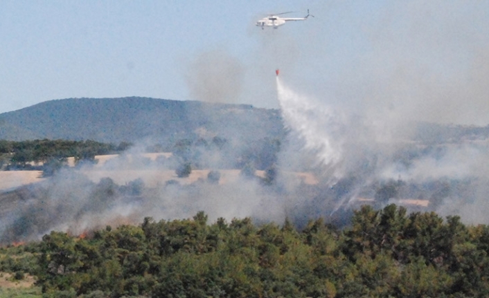Çanakkale'de anız alanında başlayan yangın ormana sıçradı