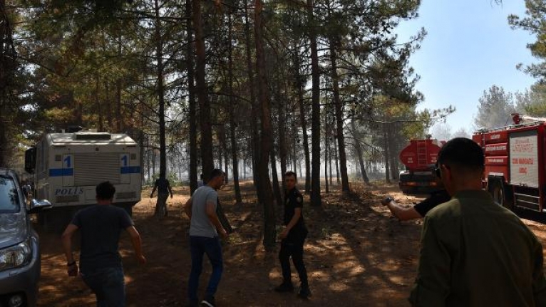 Gaziantep'te orman yangını! Vali Gül duyurdu: Kontrol altına alındı