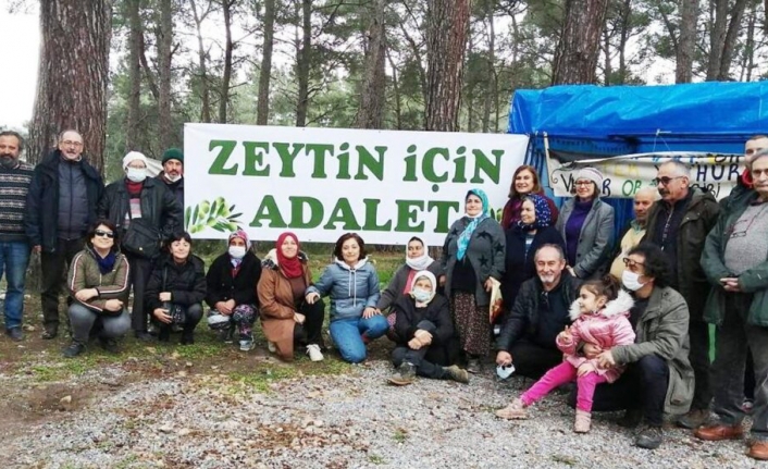 İkizköylüler: YK Enerji Zeytincilik Kanununu Akbelen İçin Değiştirmek İstiyor