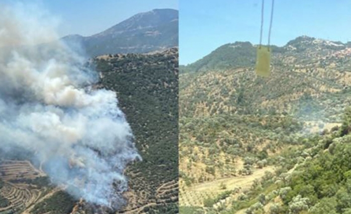 İzmir'de iki ayrı ilçede çıkan orman yangını söndürüldü