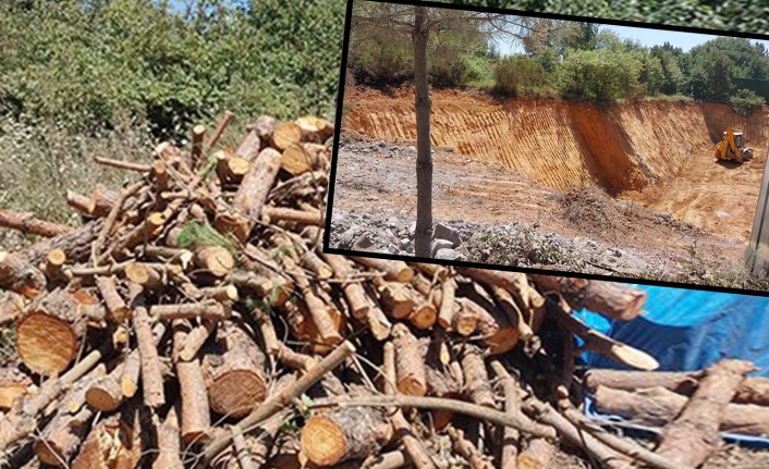 Konut ve villa inşaatına başlanan Çekmeköy Kışlası’nda ağaç katliamı