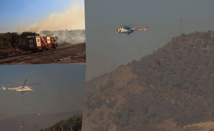 Çevre Tarım ve Orman Bakanlığı: Mersin’deki orman yangını kontrol altına alındı