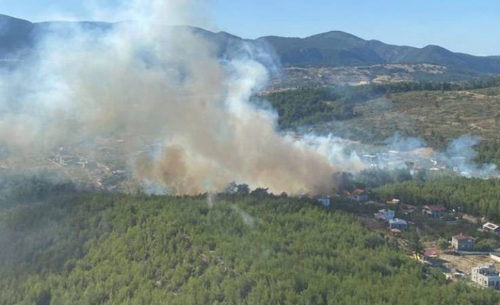 İzmir’de orman yangını kontrol altına alındı