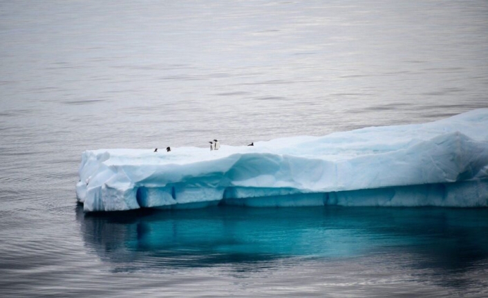 1.5 Derece Hedefi Tutturulsa Dahi Dünyadaki Buzulların Yarısı Yok Olacak