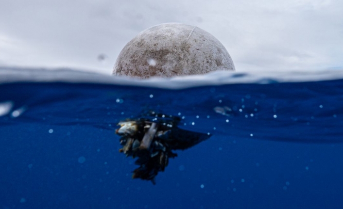 Okyanuslarda alarm veren kirlilik: 171 trilyon plastik partikül bulundu