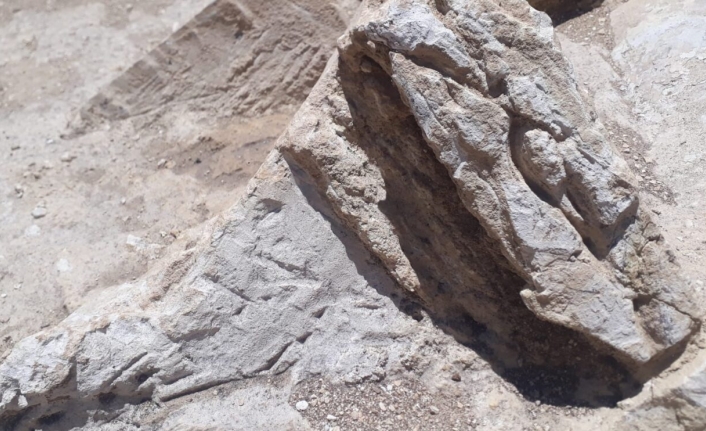 Akbelen Ormanı’nda Yapılmak İstenen Kömür Ocağında Arkeolojik Kalıntılar Bulundu