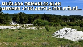 Muğla'da ormanlık alan mermer atıklarıyla kirletildi