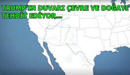 Trump'ın duvarı doğayı ve vahşi yaşamı da tehdit ediyor