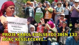 Zonguldak Çaycuma'da proje iptal edildi, 3 bin 133 ağaç kurtuldu