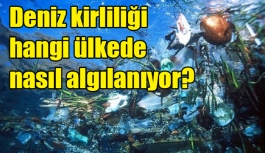 Deniz kirliliği hangi ülkede nasıl algılanıyor?