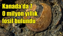Kanada'da 70 milyon yıllık fosil bulundu