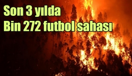 Son 3 yılda Bin 272 futbol sahası kadar ormanlık alan kül oldu