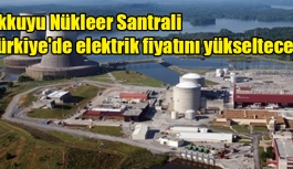 TMMOB'dan rapor: Akkuyu Nükleer Santrali Türkiye'de elektrik fiyatını yükseltecek