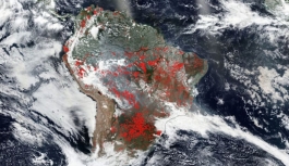Amazon yangınları neleri tehdit ediyor ?
