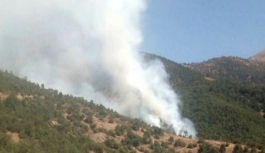 İzmir'de orman yangını !