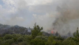 Turizm cennetinde yangın! Köy sakinleri evlerini terk etti