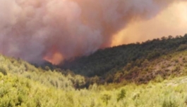 Yine bir orman yangını : Milas'ta yangına müdahaleler devam ediyor