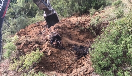 İznik'te toprağa gömülü 6 bin ölü tavuk bulundu
