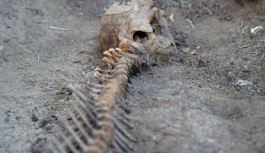 5 yıldır gömülü olan yunusun iskeleti EÜ Tabiat Tarihi Müzesi'nde