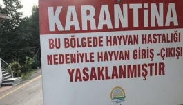 Denizli'de kuduz karantinası! 15 mahallede giriş çıkışlar yasaklandı