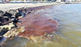 “İzmir’de sahile fueloil vurdu”