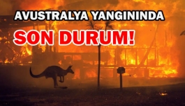 Avustralya yangınında son durum!