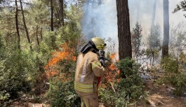 Sarıyer'de 500 metrekarelik ormanlık alan yandı: 1 kişi gözaltında
