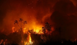  Brezilya'da tropikal sulak alanları kasıp kavuran yangınlar