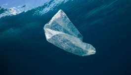 Okyanusların dibinde '14 milyon tondan fazla mikroplastik olabilir'