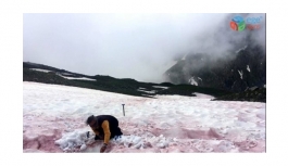 Alpler’de ’kırımızı kar’ görüldü