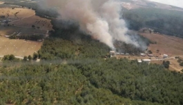 İzmir'in Bornova ilçesinde orman yangını çıktı