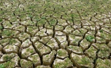 Tarımda kuraklık riski : 2 milyon tonluk kayıp bekleniyor