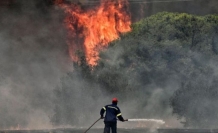 Türkiye’de dün en az sekiz şehirde yangın çıktı