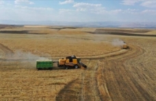 Ziraat mühendislerin talebi: Çiftçilerin ezbere ekim sistemlerinin artık değişmesi gerekiyor
