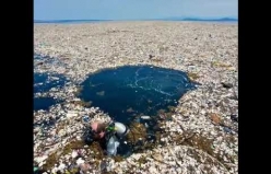 "Sadece bir saman, tek kullanımlık bir bardak, sadece bir plastik torba” - 7,4 milyar insan.