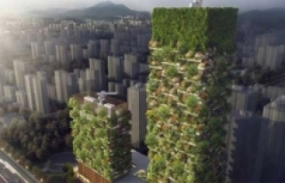 Çin'de havayı temizleyen dikey ormanlar inşa...
