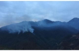 Artvin’de 4 hektarlık orman yandı