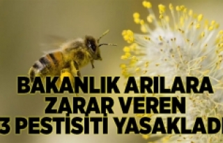 Bakanlık arılara zarar veren 3 pestisiti yasakladı
