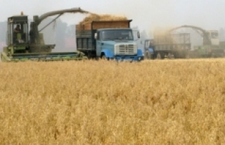 Kazakistan'dan tarım ithalatı yüzde 45 arttı