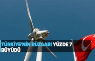 Türkiye'nin rüzgarı yüzde 7 büyüdü