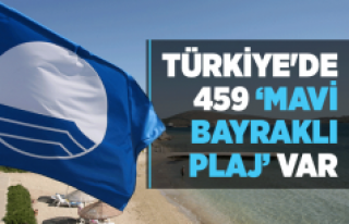 Türkiye'de 459 ‘Mavi Bayraklı Plaj’ var