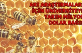 Arı araştırmaları için Üniversiteye yarım milyon...