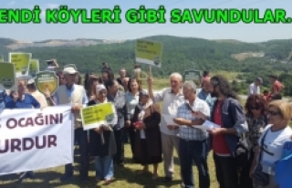 Kendi köyleri gibi savundular