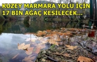Kuzey Marmara Otoyolu için 17 bin ağaç daha kesilecek