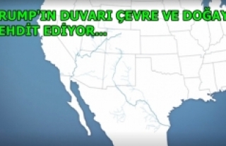 Trump'ın duvarı doğayı ve vahşi yaşamı...