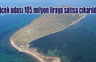 Çiçek adası 105 milyon liraya satışa çıkarıldı