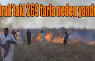 Irak’taki 269 tarla neden yandı ?